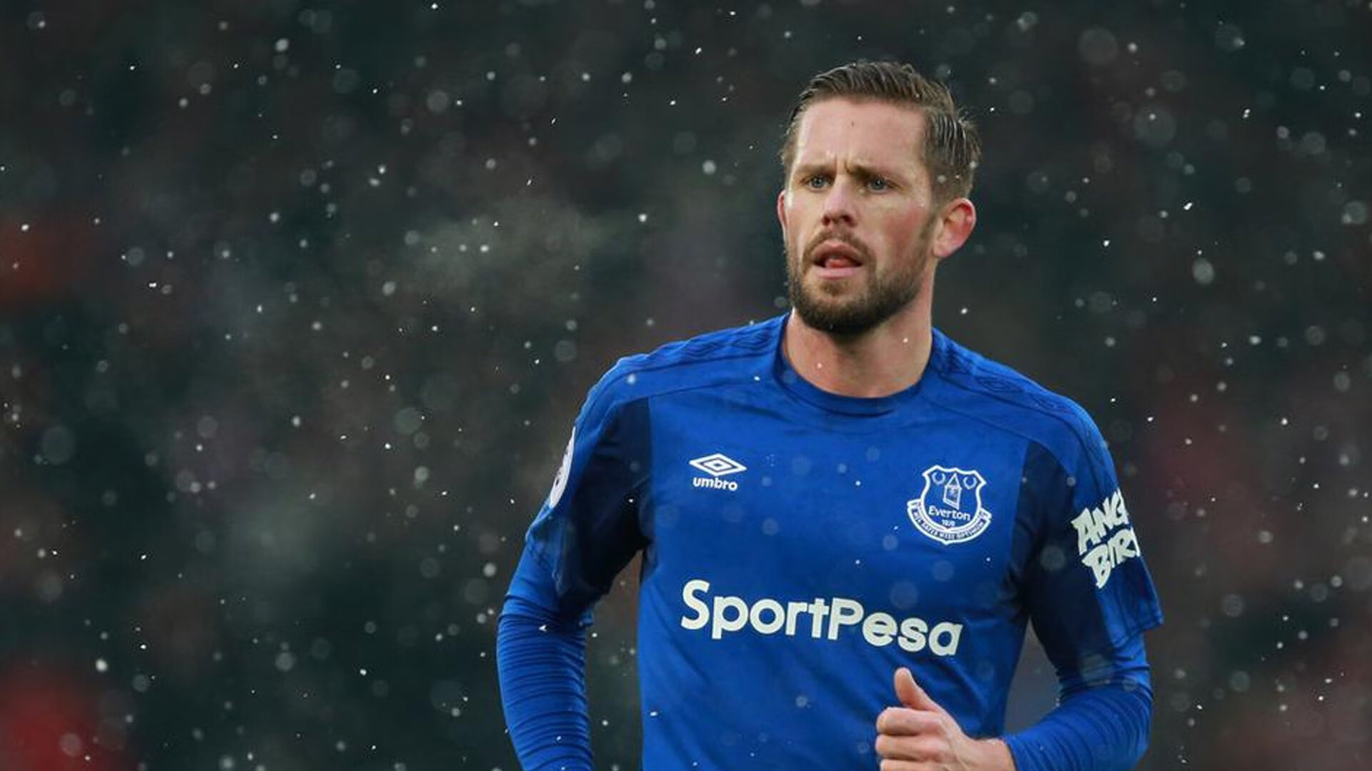 欧冠决赛与森林狼,当欧洲之巅遇见北美冰封