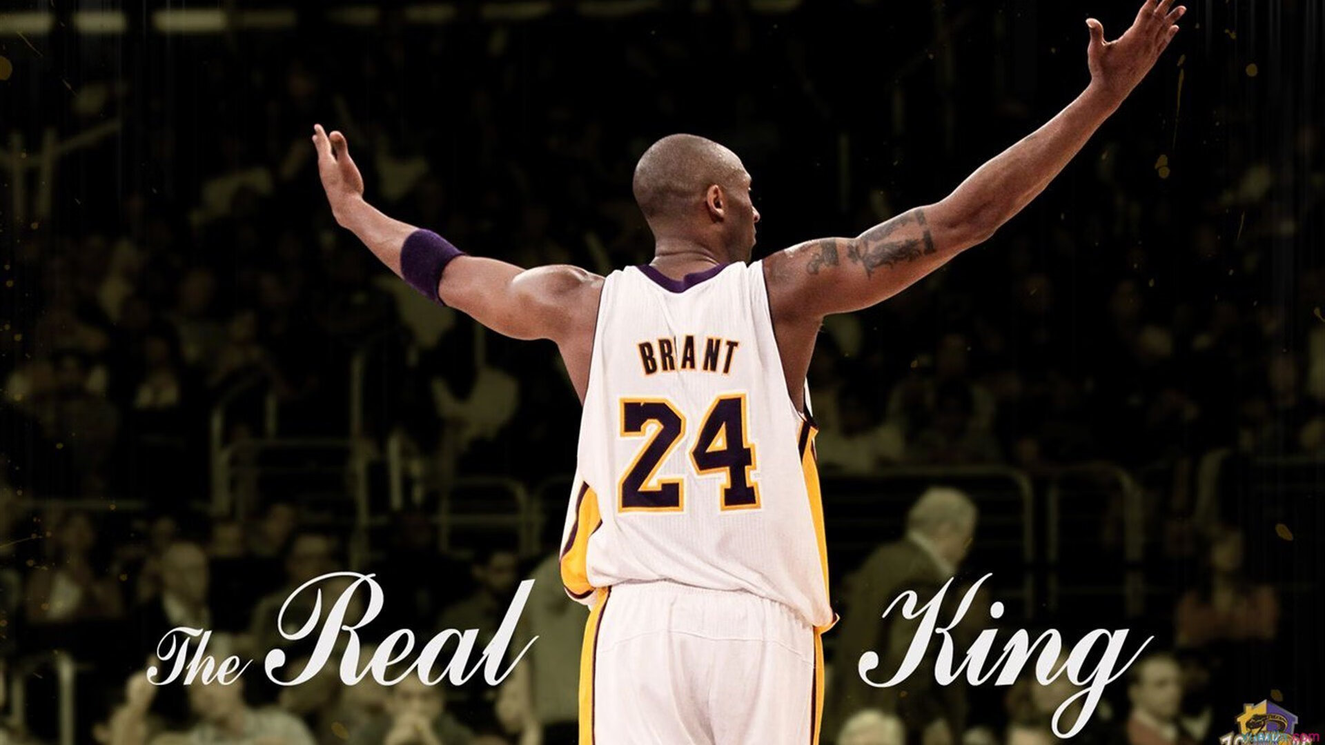 国王防守锁死上海队，克莱成为关键先生